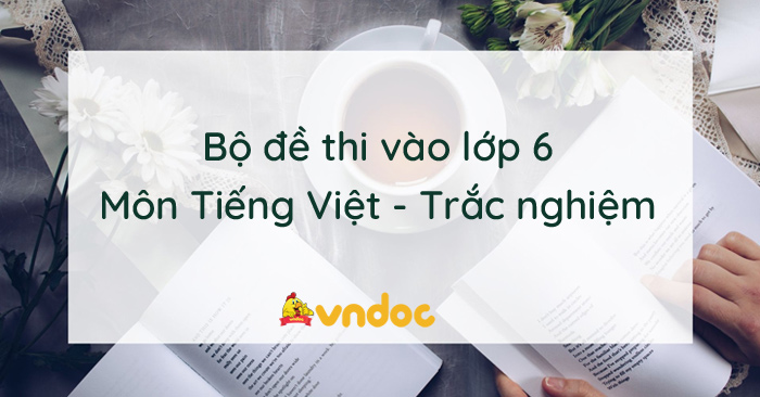Bộ đề thi trắc nghiệm môn Tiếng Việt vào lớp 6