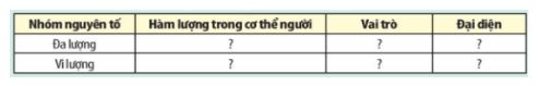 Giải Sinh 10 Bài 4: Các nguyên tố hóa học và nước KNTT