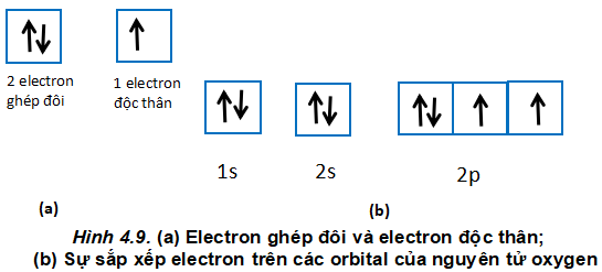Câu 10 trang 30 SGK Hóa 10 CTST