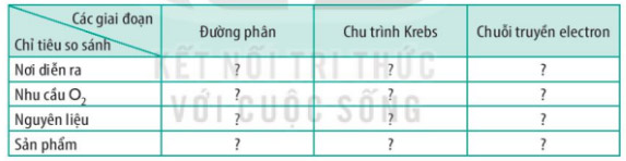 Giải Sinh 10 Bài 14: Phân giải và tổng hợp các chất trong tế bào KNTT