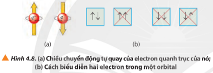 Hình 4.8 SGK Hóa 10 Chân trời sáng tạo