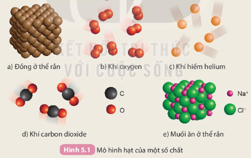 Hình 5.1 SGK Khoa học tự nhiên 7 KNTT