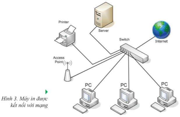 Tin học lớp 6 sách Cánh Diều