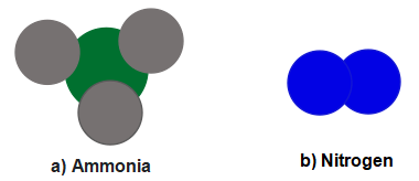 Trang 31 Khoa học tự nhiên 7 CTST