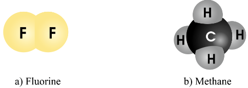 Hình 4.3 SGK KHTN 7 Cánh diều