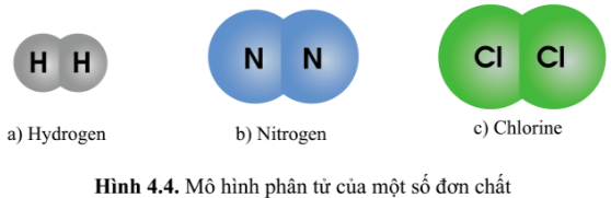 Hình 4.4 SGK Khoa học tự nhiên 7 Cánh diều
