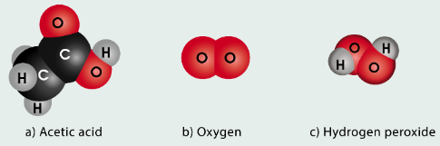 Hình 4.8 SGK KHTN 7 Cánh diều