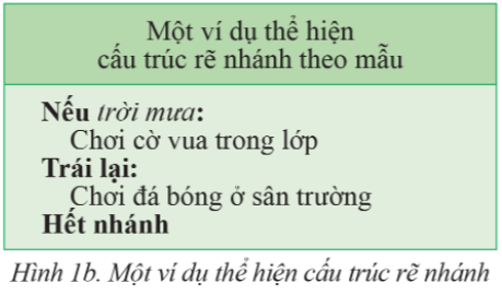 Cấu trúc rẽ nhánh trong thuật toán