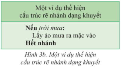Cấu trúc rẽ nhánh trong thuật toán