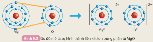 Hình 6.3 SGK KHTN 7 KNTT