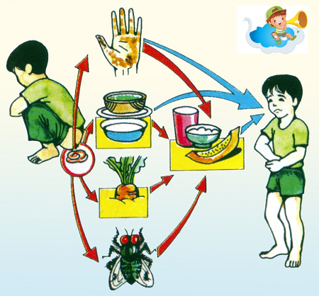 Phòng chống bệnh kiết lị