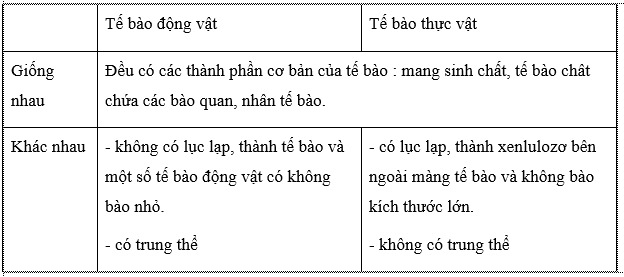 KHTN lớp 6 bài 12 Cánh Diều