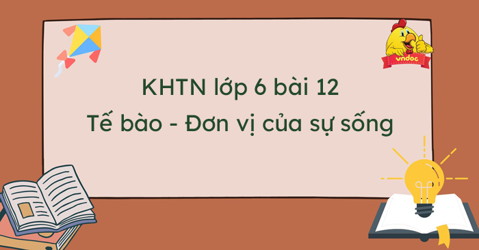 Khoa Học Tự Nhiên Lớp 6 Bài 12: Tế Bào - đơn Vị Cơ Sở Của Sự Sống 