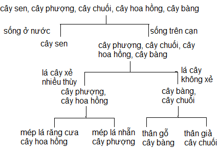 Khóa lưỡng phân