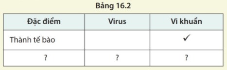 Virus và vi khuẩn