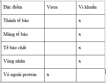 Virus và vi khuẩn