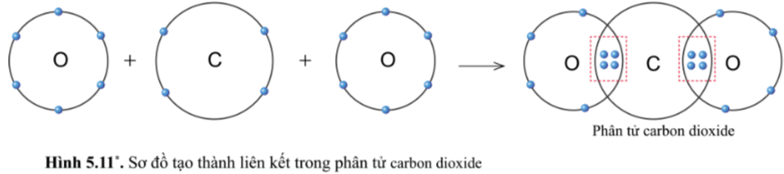 Hình 5.11 KHTN lớp 7 Cánh diều