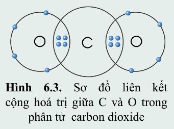 Hình 6.3 Khoa học tự nhiên 7 Cánh diều
