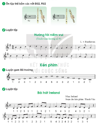 Nhạc cụ: Recorder SGK Âm nhạc 7 KNTT