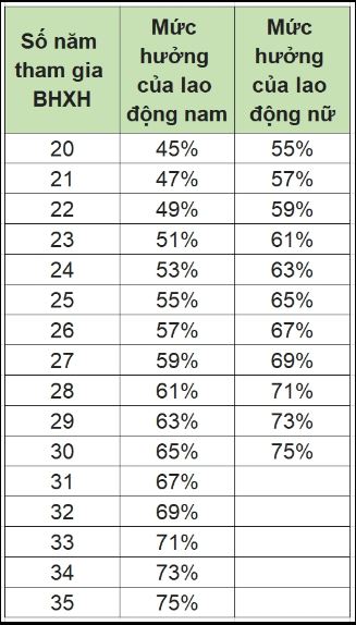 Cách tính phần trăm lương hưu từ năm 2022