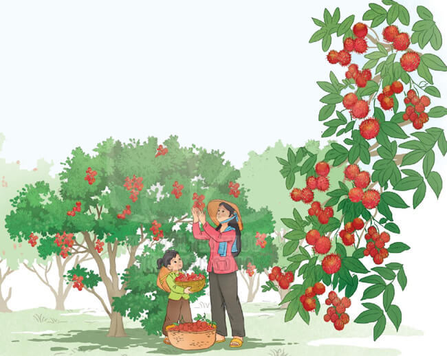 Bài 8: Tạm biệt mùa hè - Phần đọc