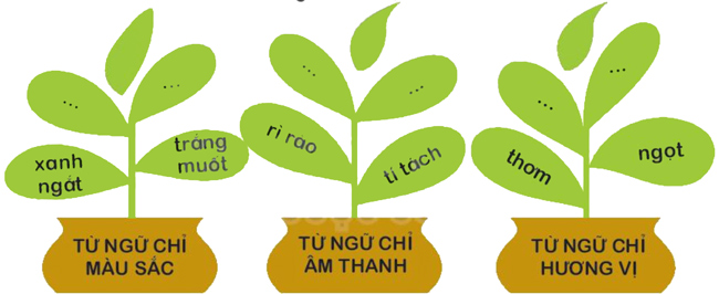 Bài 10: Con đường đến trường - Luyện tập