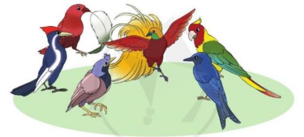 Câu 1 trang 70 Tiếng Việt lớp 3 Tập 1 Cánh Diều