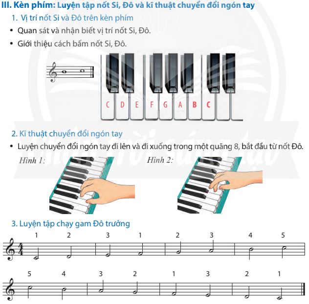 Nhạc cụ trang 14, 15, 16 SGK Âm nhạc 7 - Chân trời sáng tạo