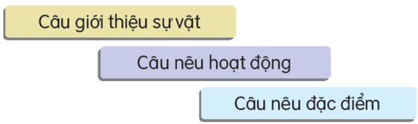 Bài 22: Để cháu nắm tay ông - Luyện tập