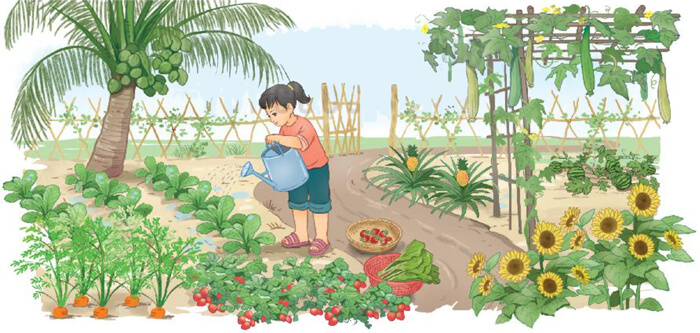 Bài 23: Tôi yêu em tôi - Phần viết