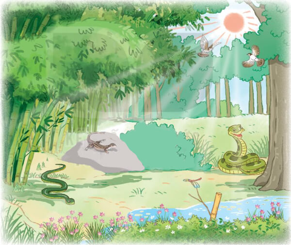 Bài 25: Những bậc đá chạm mây - Phần viết