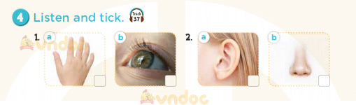 Tiếng Anh lớp 3 Unit 4 Lesson 1