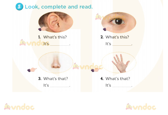 Tiếng Anh lớp 3 Unit 4 Lesson 1