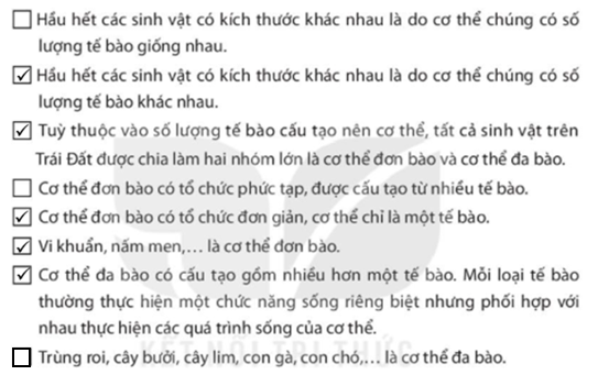 Bài 22. Cơ thể sinh vật