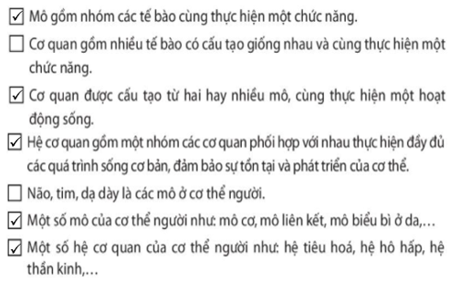 Bài 23 Tổ chức cơ thể đa bào