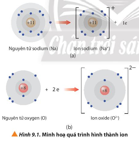 Hình 9.2 SGK Hóa 10 CTST