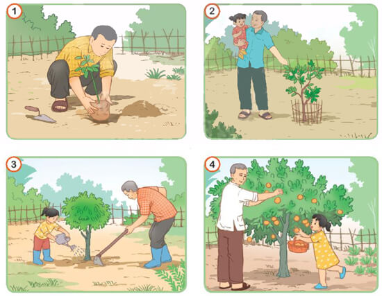 Ôn tập và đánh giá cuối học kì 1 - Tiết 5