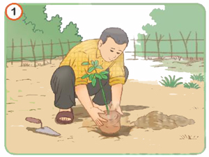 Ôn tập và đánh giá cuối học kì 1 - Tiết 5