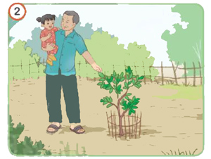 Ôn tập và đánh giá cuối học kì 1 - Tiết 5