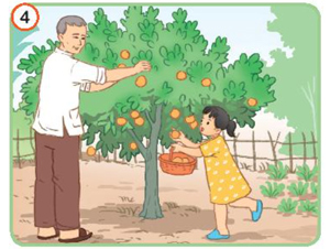 Ôn tập và đánh giá cuối học kì 1 - Tiết 5