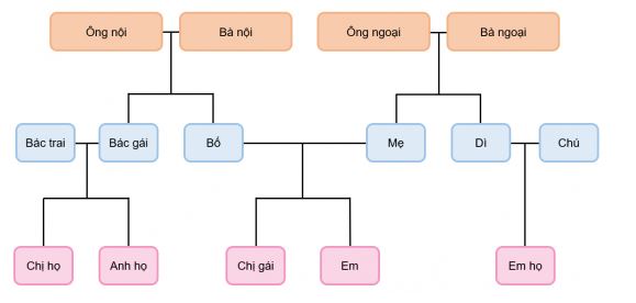 Tự nhiên xã hội 3 KNTT