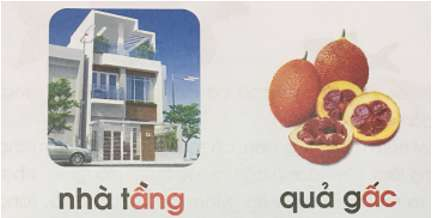 tìm từ có vần âng
