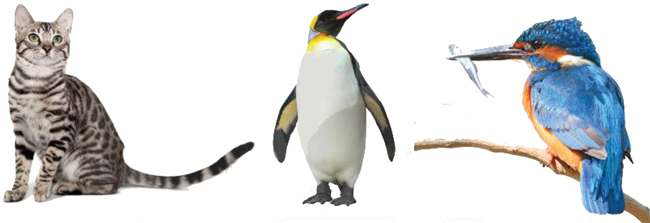 Bài 4: Những cái tên đáng yêu - Phần đọc