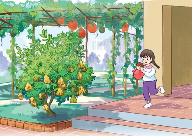 Bài 5: Ngày hội rừng xanh - Phần viết