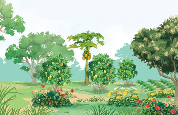 Bài 6: Cây gạo - Luyện tập