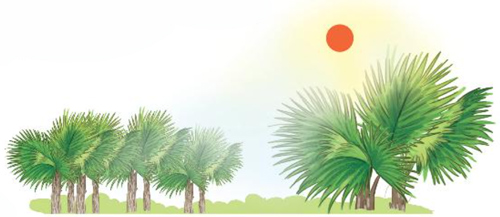 Bài 7: Mặt trời xanh của tôi - Phần đọc