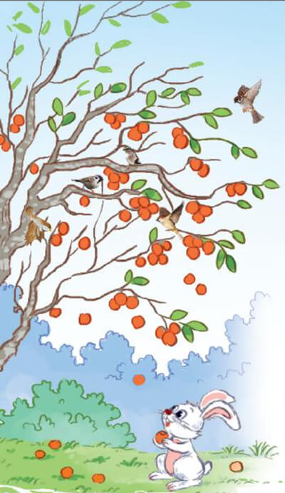 Bài 10: Quả hồng của thỏ con - Đọc