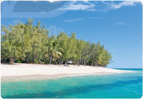 Bài 10: Quả hồng của thỏ con - Luyện tập