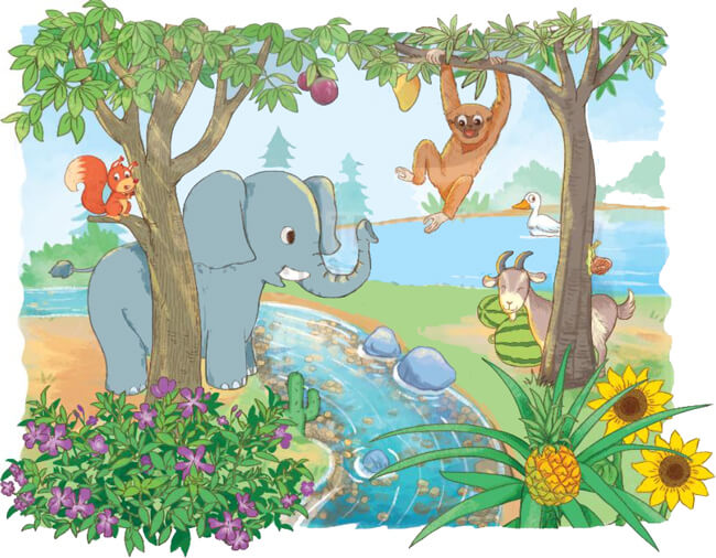 Bài 13: Mèo đi câu cá - Viết