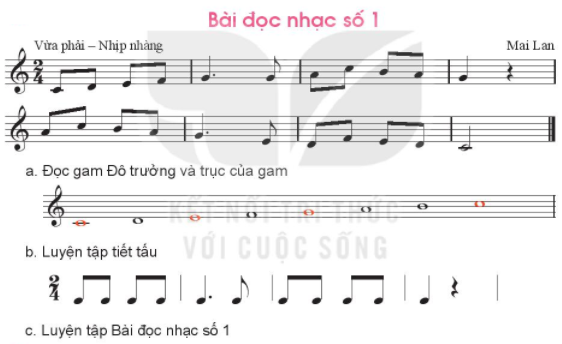 Đọc nhạc: Bài đọc nhạc số 1 SGK Âm nhạc 6 KNTT
